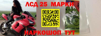 ГАЛЛЮЦИНОГЕННЫЕ ГРИБЫ Донской
