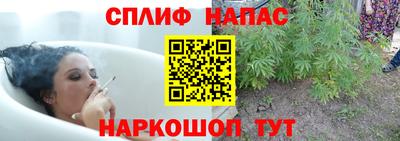 прущие грибы Дубна