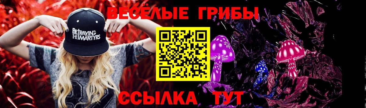Псилоцибиновые грибы Psilocybe Мценск